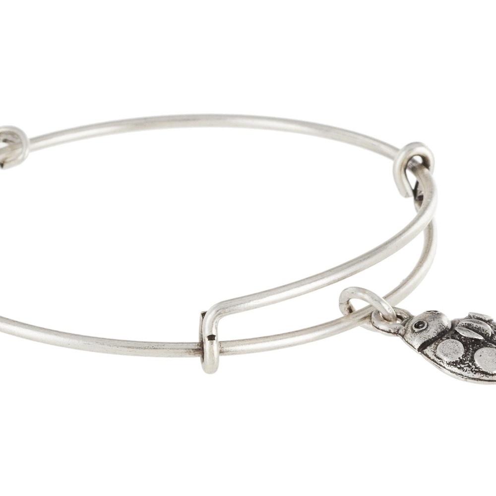 Silver Alex and Ani bracelet